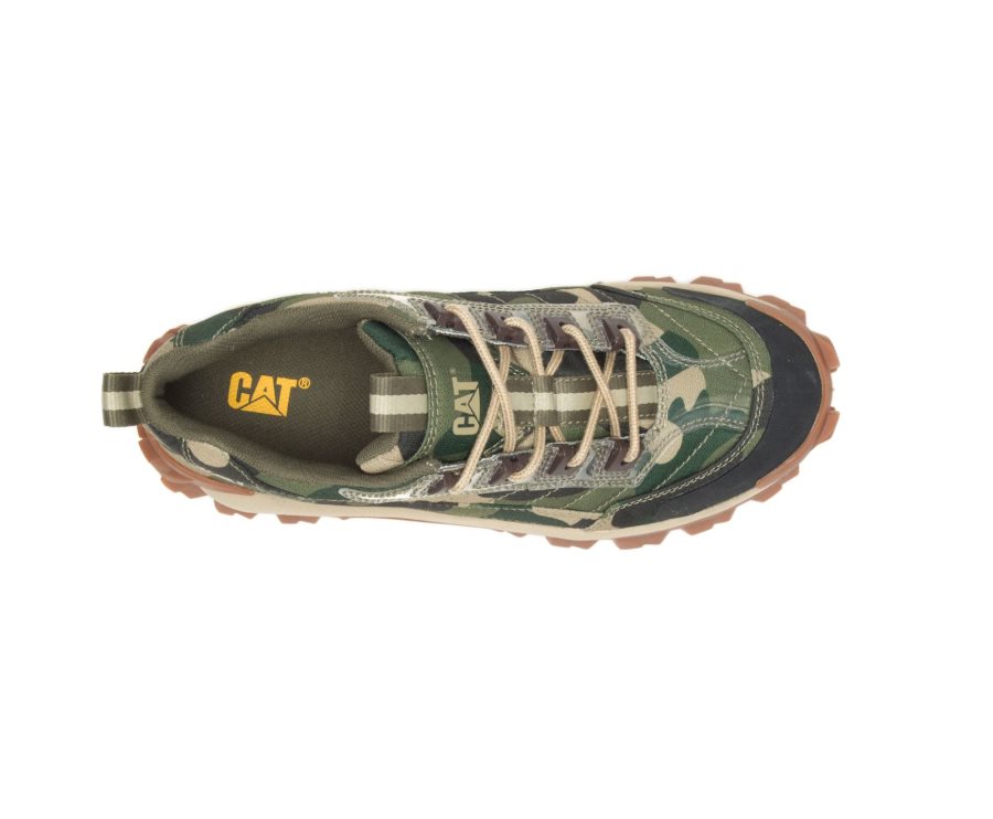 Caterpillar CAT Intruder Shoe Men's Casual Shoes Camo | CAT-019HG