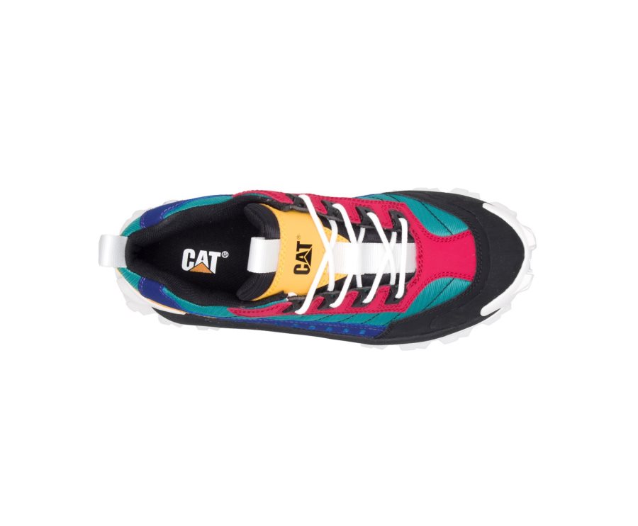 Caterpillar CAT Intruder Shoe Women's Casual Shoes Black / Multicolor | CAT-504TE