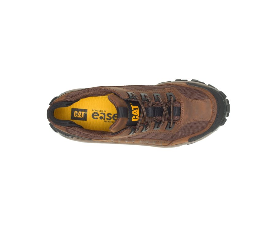 Caterpillar CAT Invader Steel Toe Men's Work Shoes Dark Brown | CAT-637UT