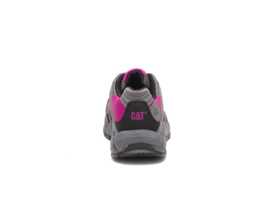 Caterpillar CAT Switch Steel Toe Women's Work Shoes Deep Grey / Pink | CAT-935DT